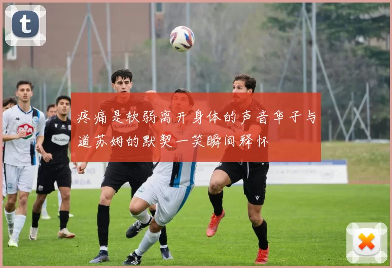 疼痛是软弱离开身体的声音华子与道苏姆的默契一笑瞬间释怀