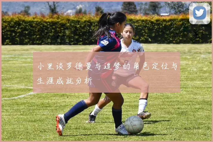 小里谈罗德曼与追梦的角色定位与生涯成就分析